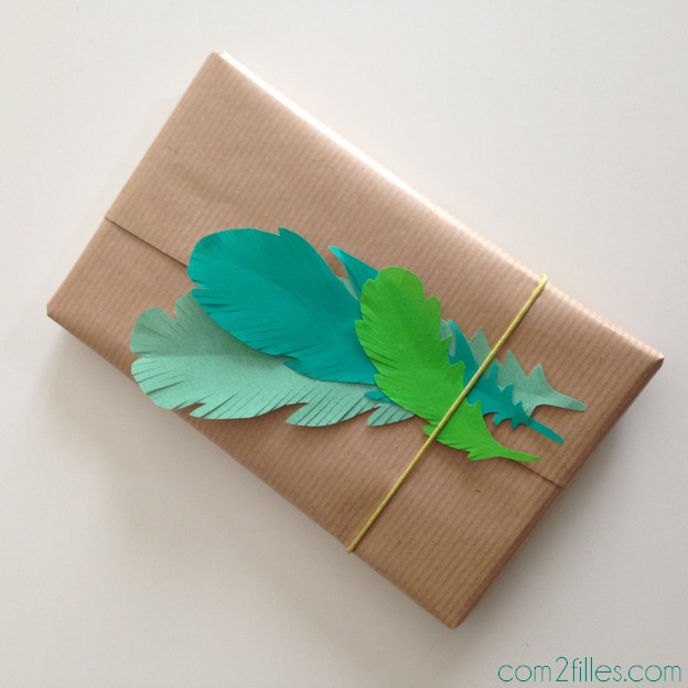 paquet cadeau plumes papier.jpg