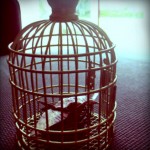cage oiseau déco